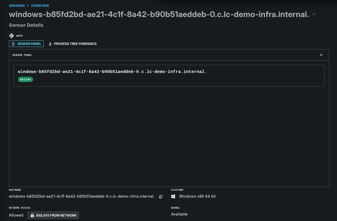 A sensor's page in the console with a "Sensor Panel" tab open, showing the app embedded in context: the sensor's hostname and a green "online" badge.
